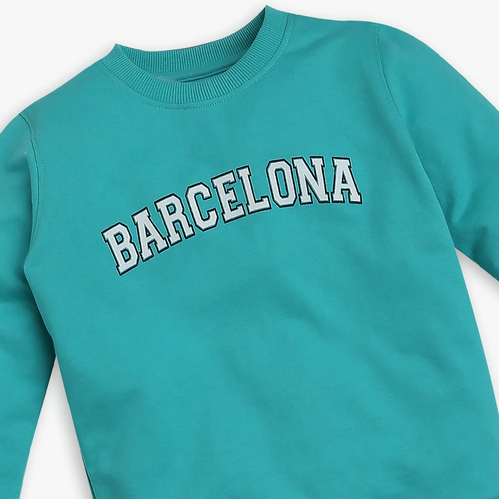 Boy's Regular Fit Printed Sweat Tees