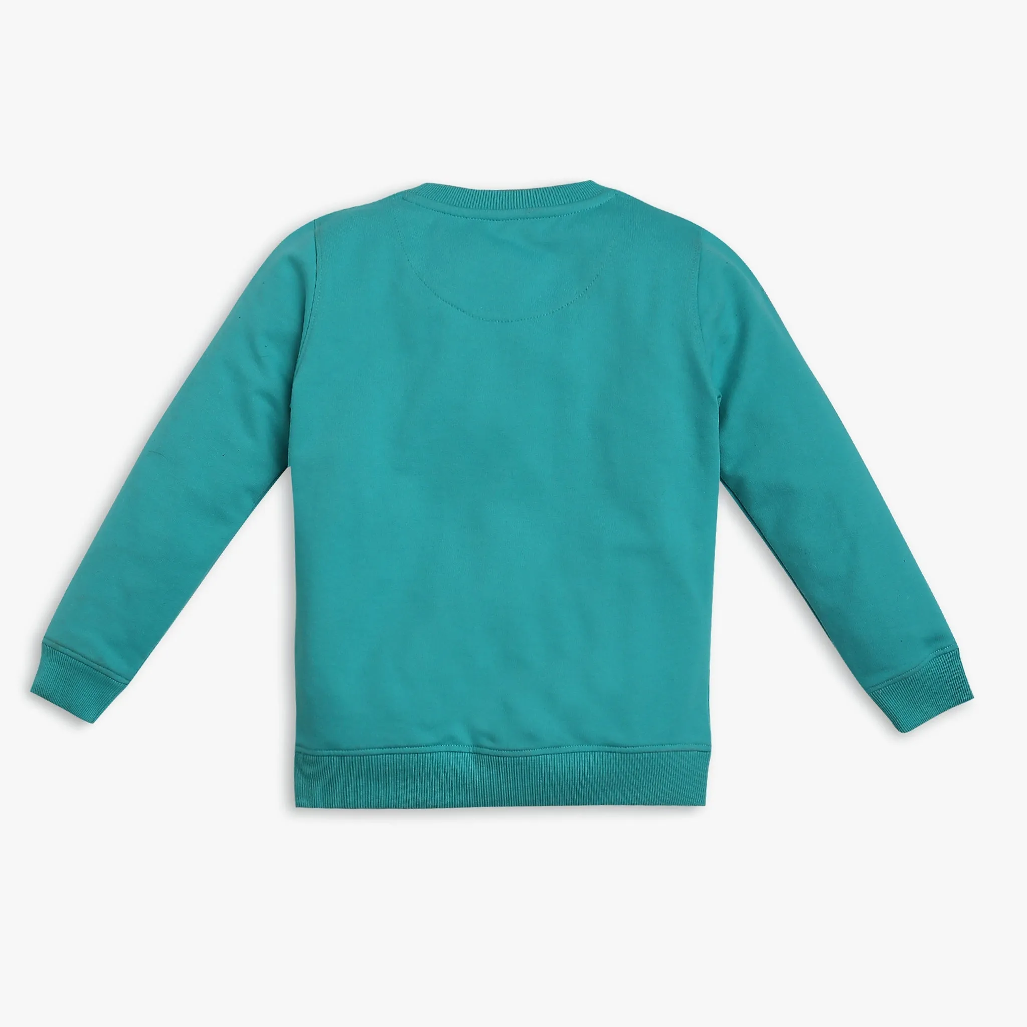 Boy's Regular Fit Printed Sweat Tees