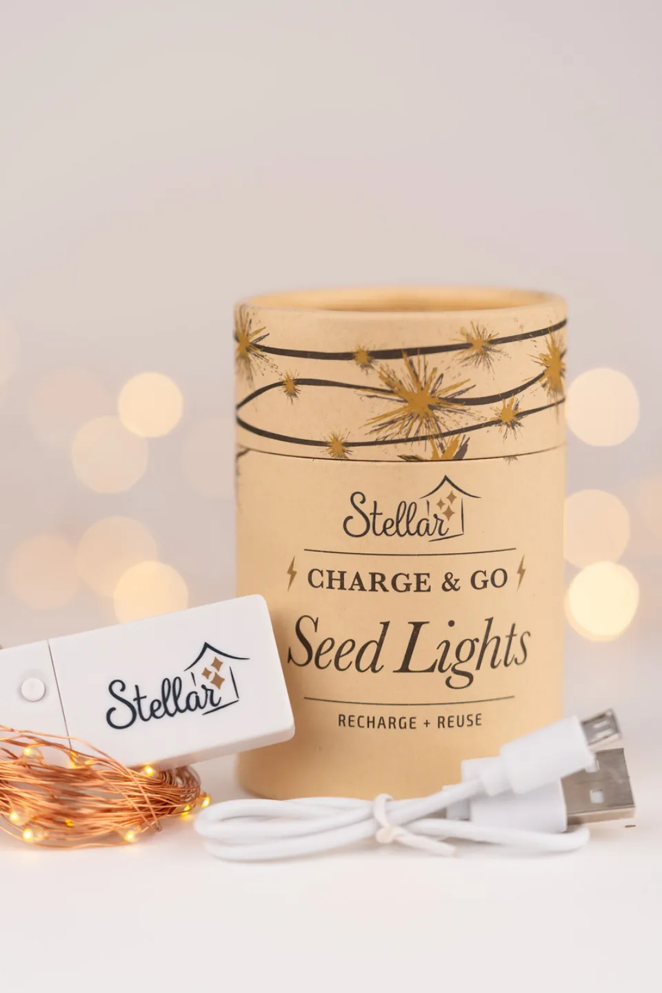 Charge & Go Silver Warm White Rechargable 3m String Seed Lights