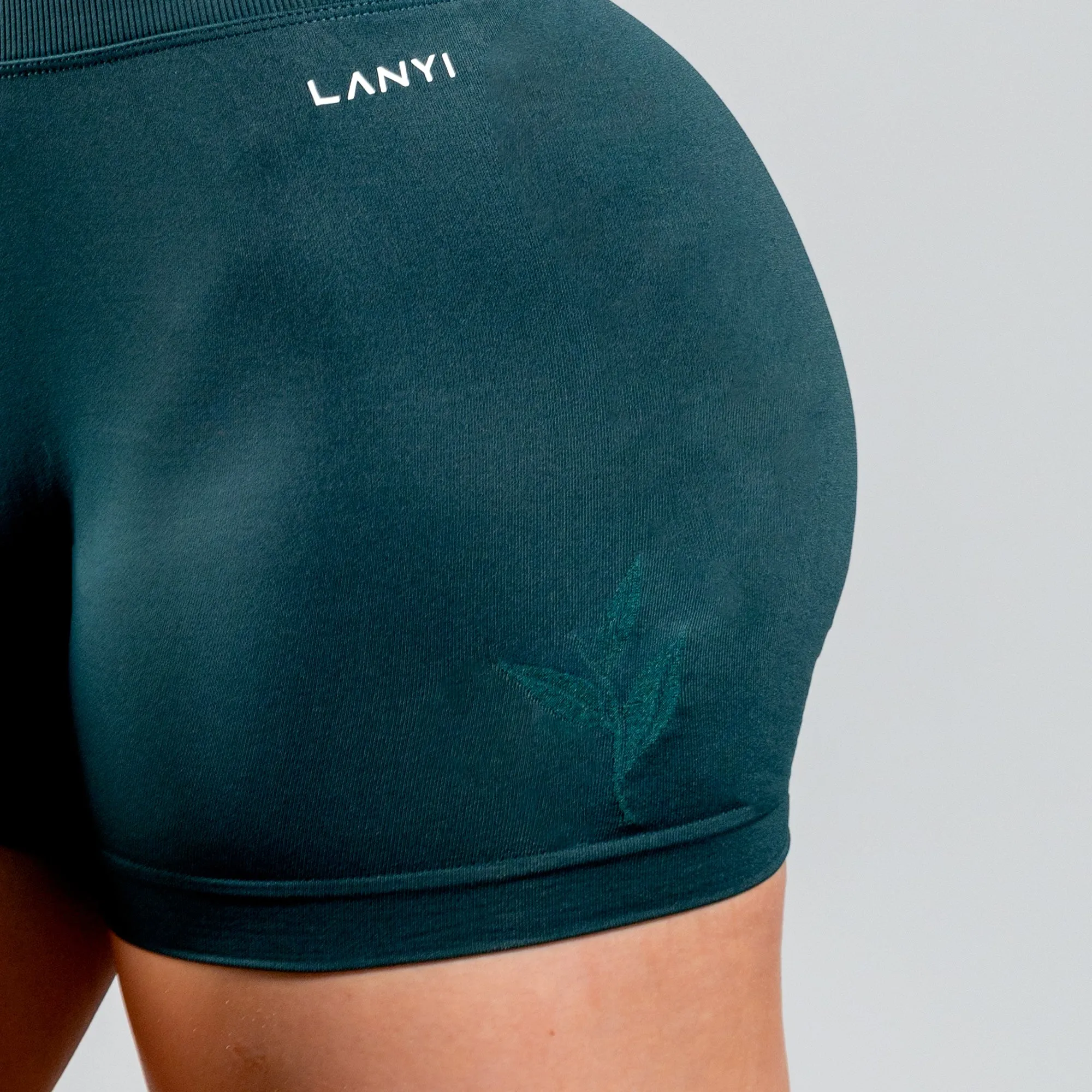 Lanyi Edit Shorts | 4.5'